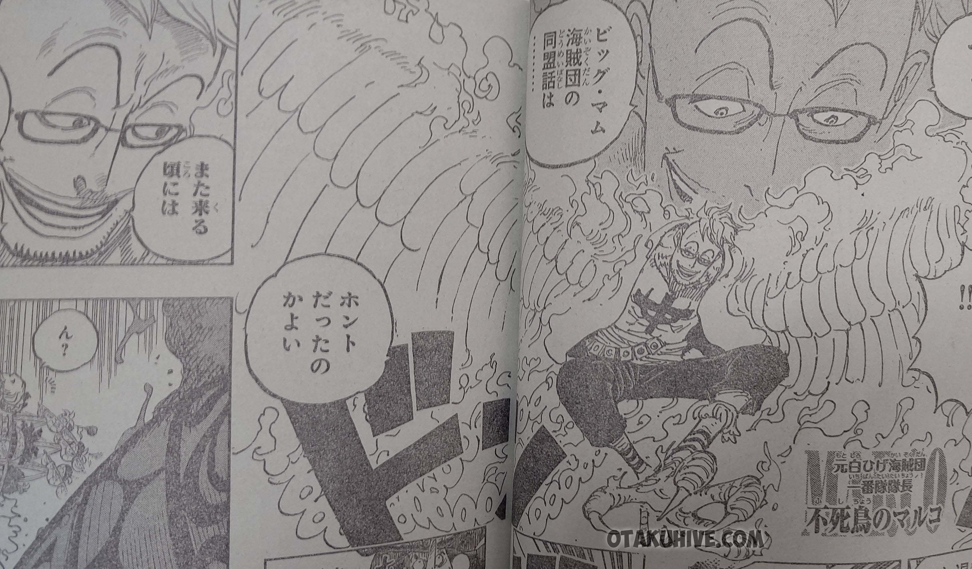 Spoiler Alert Manga One Piece 981 Terbaru Muncul Gambar Marco Hadapi Kru Bajak Laut Big Mom