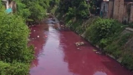 Viral Air Sungai Berwarna Pink di Medan, Ini Ceritanya Gaes