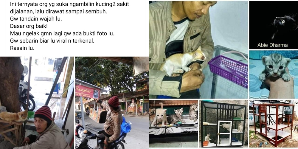 Viral Cerita Penyelamat Kucing Liar di Jalan, Netizen Bersatu Sebut Malaikat Gaes