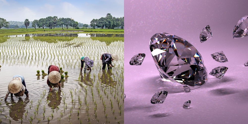Viral Petani Temukan Berlian Seharga Rp 1 Miliar di Ladang, The Power of Hoki!