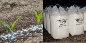 Amonium Nitrat Ternyata Digunakan untuk Pupuk, Banyak Dijual Toko Online Tokped dan Shopee