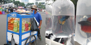 Kenapa Penjual Buah Pakai Aquarium & Penjual Ikan Malah Diplastikin? Kita Bedah Yuk Gaes