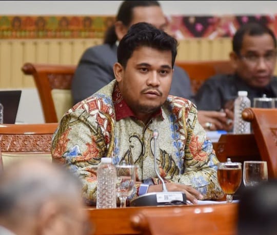 Profil Lengkap Andi Amar Ma’ruf Sulaiman, Putra Mentan Amran Sulaiman yang Kini Duduk di DPR RI