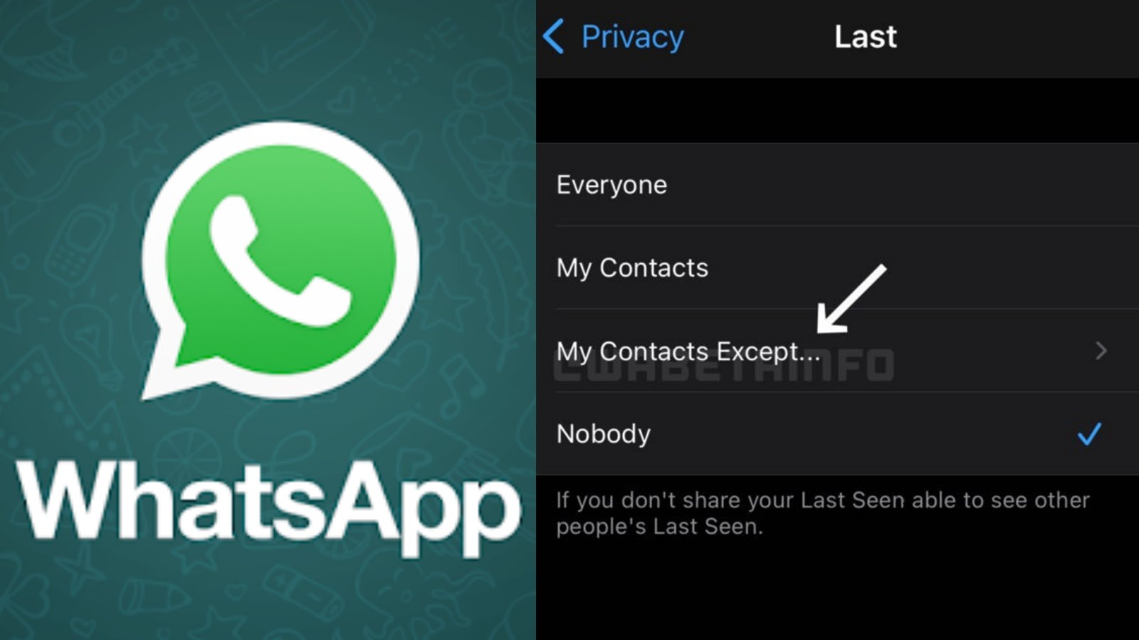 Menggunakan Fitur Last Seen Di Whatsapp Plus