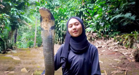 Biodata Aulia Khairunisa Lengkap Umur dan Agama, Cewek Manis Penakluk Ular King Cobra yang Viral di TikTok