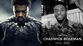 Chadwick Boseman ‘Black Panther’ Tetap Bermain Film Marvel Gaes