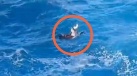 Tragis, Remaja 17 Tahun Meninggal Setelah Terjatuh ke Laut Saat Berfoto di Apparalang