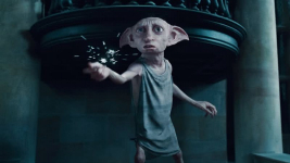 Dobby Syndrome Adalah? Istilah yang Lagi Viral di TikTok