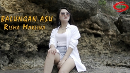 Link Download MP3 Lagu Balungan Asu dari Risma Marlina DJ Remix, Lengkap Lirik dan Video Klip, Tutorial SaveFrom Net