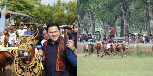 Nonton Karapan Sapi di Madura, Erick Thohir Dukung Penuh Budaya dan Wisata Lokal