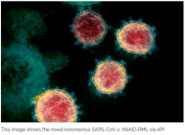 Fakta Terbaru Noronavirus, Virus Baru dari Tiongkok yang Katanya Nular Lewat Makanan Gaes