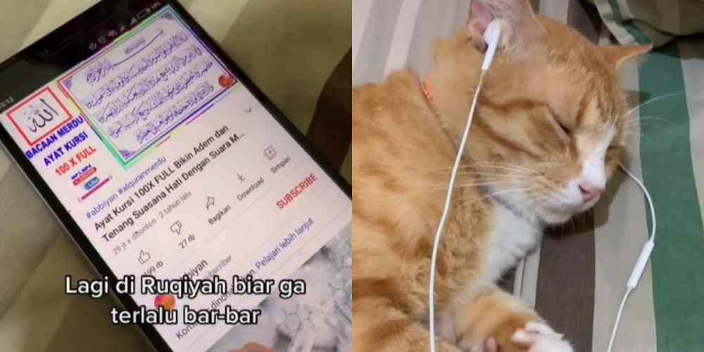 Viral Kucing Oren Diruqiyah karena Terlalu Bar-bar, Netizen Auto Ngakak 
