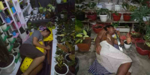 Demi Jaga Taman Hias Istri, Para Suami Ini Rela Tidur di Teras Rumah Gaes 