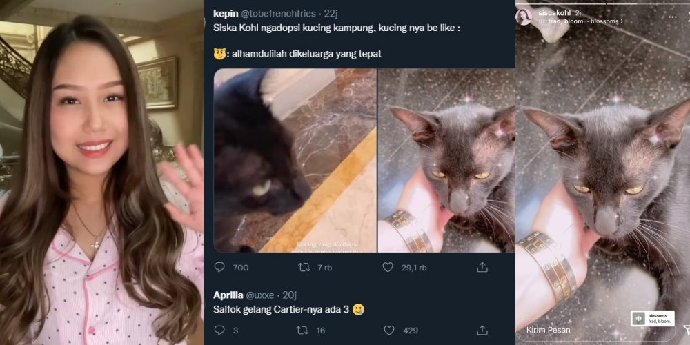 Sisca Kohl Adopsi Kucing Kampung, Gelang Rp 300 juta Bikin Netizen Salah Fokus