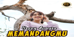 Download MP3 Lagu Happy Asmara - Memandangmu, Lengkap Lirik dan Video Klip