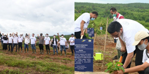 Hari Menanam Pohon Indonesia, PTPN VIII Gelar Program Penanaman Pohon BUMN