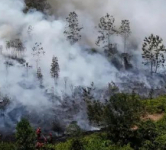 Asap Karhutla Masih Mengancam, Pemerintah Tambah Personel hingga Water Bombing