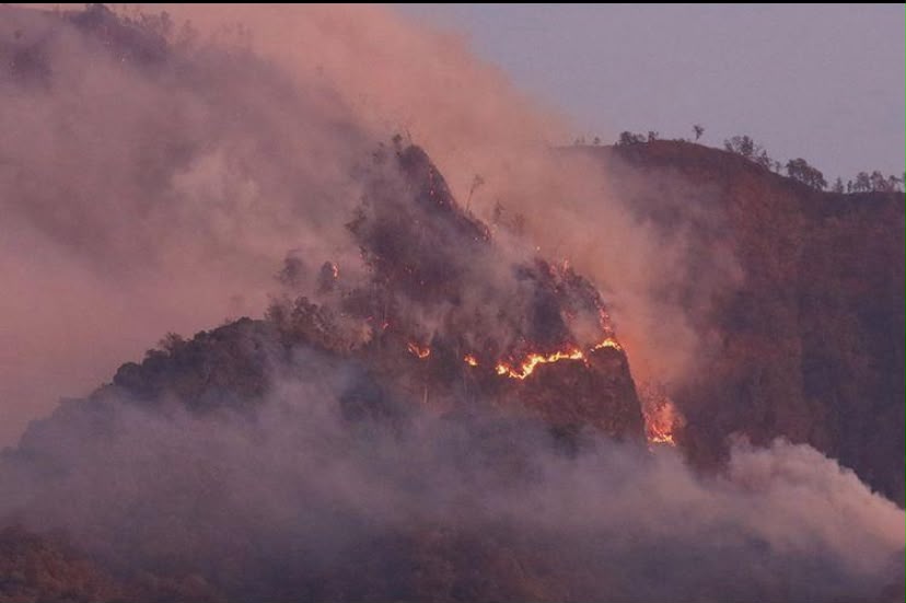 Api Masuk Kawasan Wisata, Kawah Ijen Ditutup Sementara akibat Kebakaran Hutan