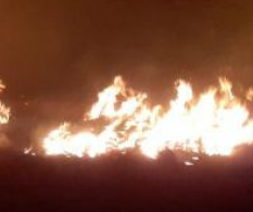 Kebakaran Landa Savana Kawah Wurung, 10 Hektare Lahan Hangus