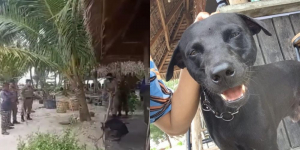 Kronologi Aparat Usir Anjing Canon Hingga Mati Demi Kawasan Wisata Halal Aceh, Viral di Sosial Media