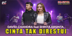 Download Lagu MP3 Shinta Arsinta Feat David Chandra - Cinta Tak Direstui, Lengkap Lirik dan Video Klip Trending di YouTube