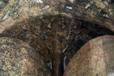 Karya Tersembunyi Leonardo da Vinci Akhirnya Dibuka untuk Publik