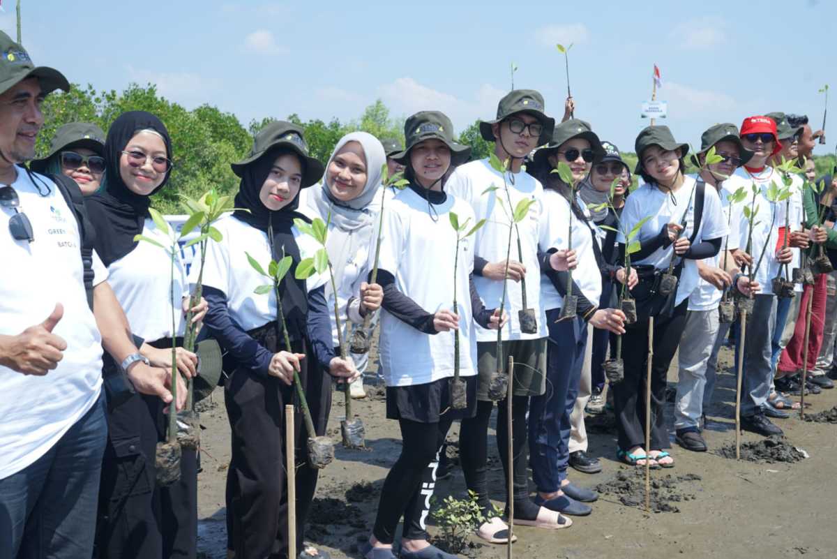 Hari Mangrove Sedunia: Aksi Kolektif Selamatkan Bumi dari Pantai Tiris Indramayu