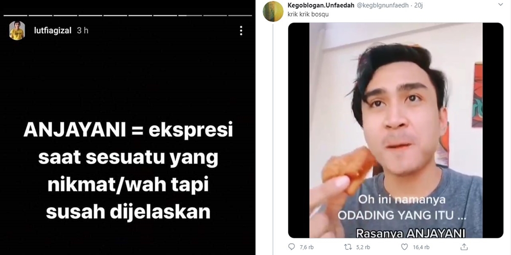 Meme dan Tweet Kocak Video Anjayani Lutfi Agizal, Netizen Bersatu sampai Trending Gaes