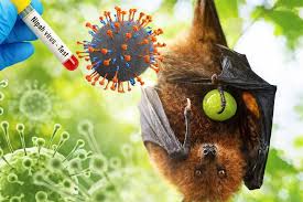 Peneliti BRIN Paparkan Risiko dan Pola Penyebaran Virus Nipah