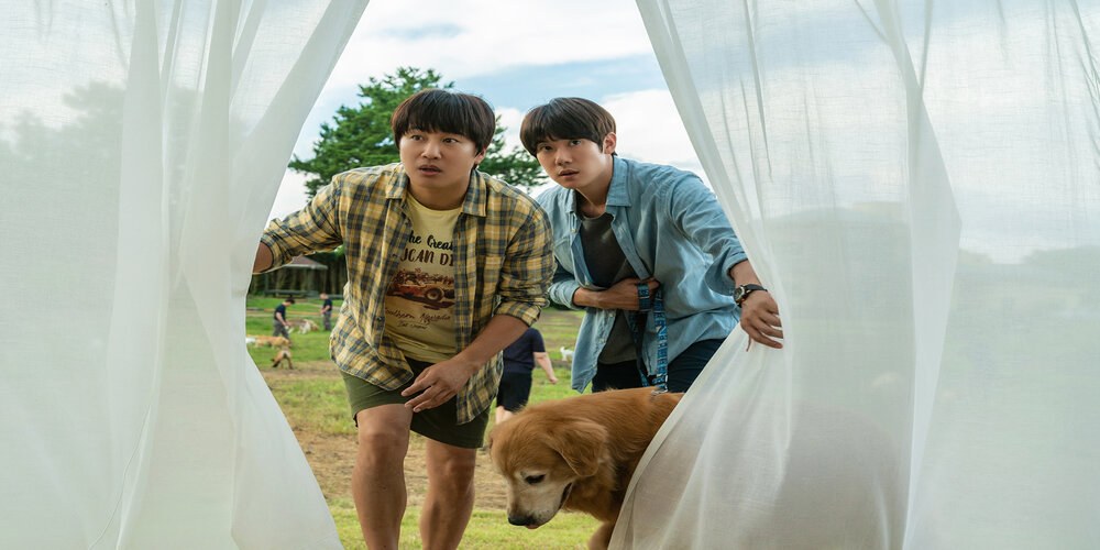 Sinopsis dan Daftar Pemain My Puppy, Film Yoo Yeon Seok Terbaru Tayang Maret 2023