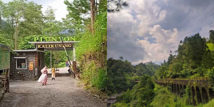 Fakta-fakta Plunyon Kalikuning, Tempat Wisata Indah Lokasi Syuting Film KKN di Desa Penari