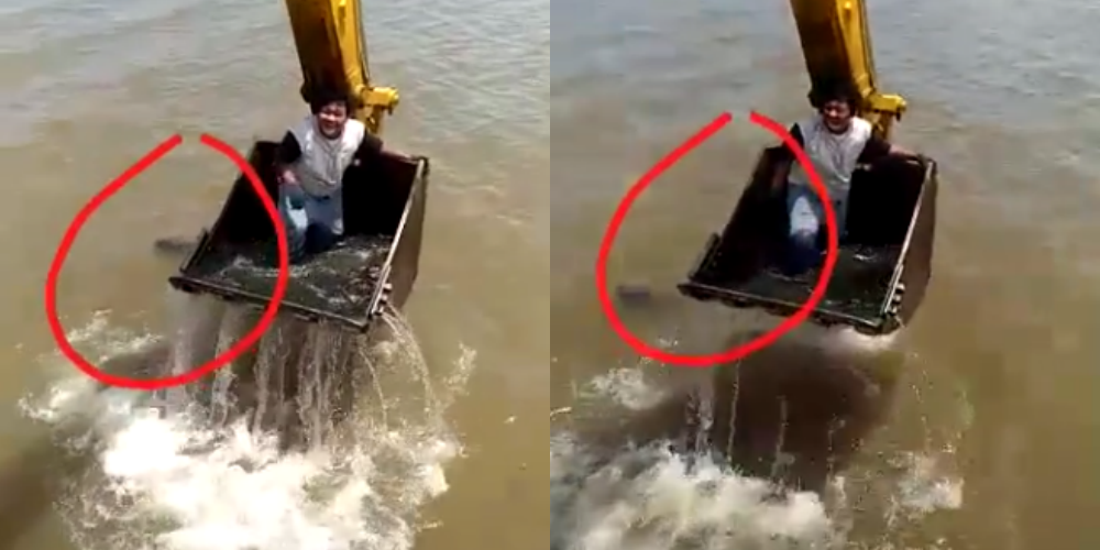 Viral Video Sosok Misterius Berambut Panjang Tertangkap Kamera Berenang di Sungai Bikin Netizen Heboh 