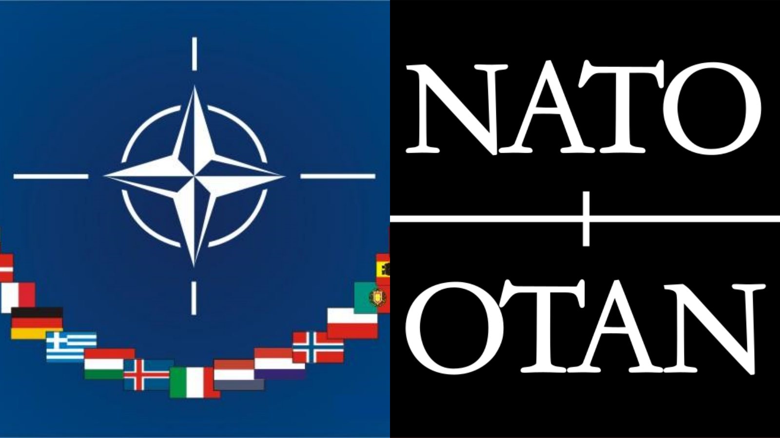 Apa Itu NATO? Organisasi Diperbincangkan dalam Konflik Rusia-Ukraina, ini Sejarah dan Anggotanya