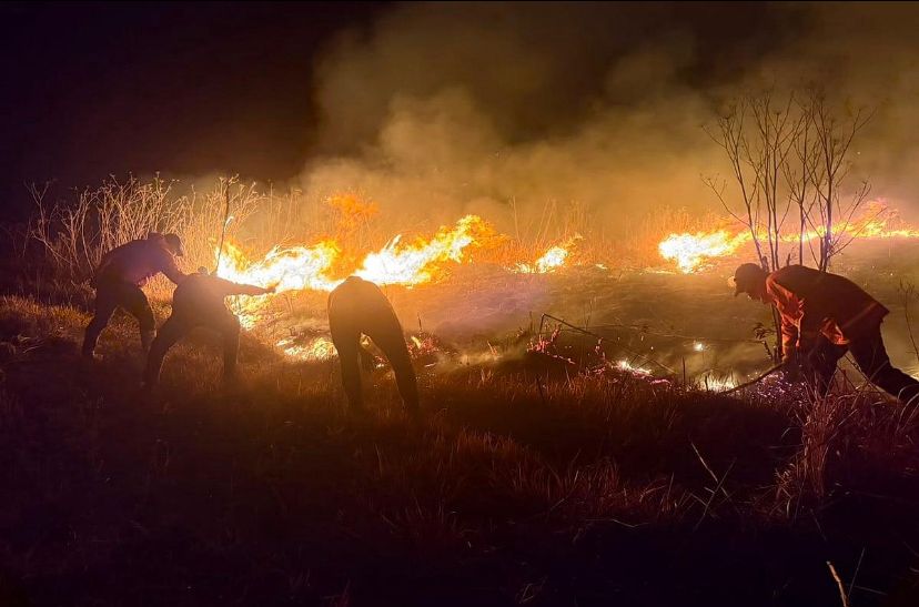 Kebakaran Semeru Meluas hingga 598 Hektare, Puluhan Titik Panas Terdeteksi di Jawa Timur