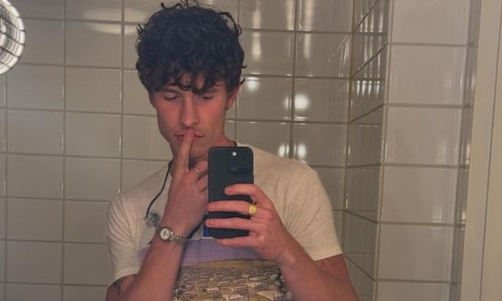 Shawn Mendes Beberkan Orientasi Seksualnya, Apa Pilihannya?