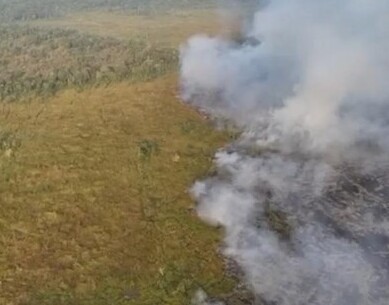 Taman Nasional Way Kambas Kembali Terbakar, Api Muncul di 3 Titik