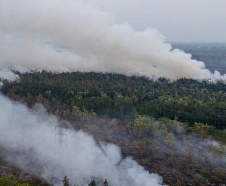 Kebakaran Hutan Meluas, Kabut Asap di Kalimantan Berdampak pada Penerbangan