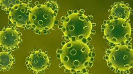 Mengenal Coronavirus, Wabah Mematikan yang Mengguncang Cina