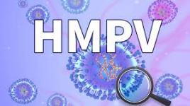 Human Metapneumovirus (HMPV) Masuk Indonesia: Fakta, Pencegahan, dan Klarifikasi Rumor