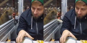 Viral Video Kucing Minta Makan ke Pelanggan Restoran, Tingkahnya Bikin Gemas