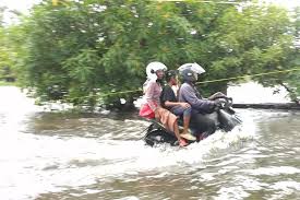 Jawa dan Kalimantan Dinilai Rentan Bencana Ekologis, Ini Peringatan Walhi